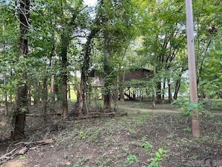 00 Duncan Bend Trail, Bald Knob, AR 72006