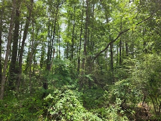 0 Booger Hollow Rd Unit 23734488, Dadeville, AL 36853