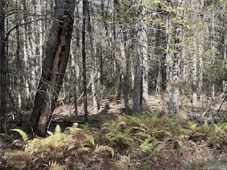 17 Desmond Crossing, Bethel, NY 12786