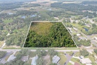 9307 E Gospel Island Rd, Inverness, FL 34450