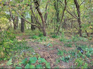4.35 Ac County Rd W, Christiana, WI 53589