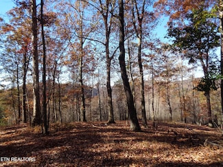 0 Twin Feathers Dr Unit 1244781, Rockwood, TN 37854