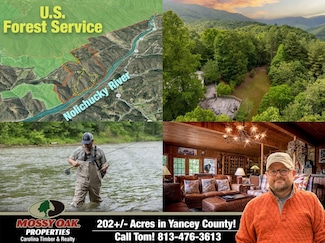 2736 White Oaks Flat Rd, Green Mountain, NC 28740