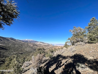 APN 00665121, Hawthorne, NV 89415