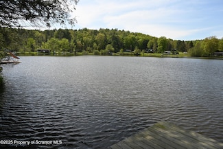 117 S Lake Rd, Liberty Township, PA 18801