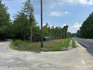 Tbd Grays Hwy, Early Branch, SC 29916
