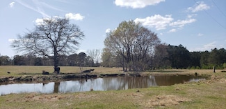 716 Augusta Rd, Edgefield, SC 29824