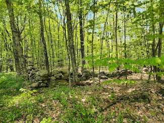000 S Village Rd, Westmoreland, NH 03467