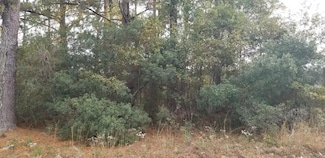 0 Reardon Ave Unit 25031265, Walterboro, SC 29488