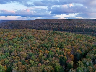 00 Tuthill Rd, Barryville, NY 12719