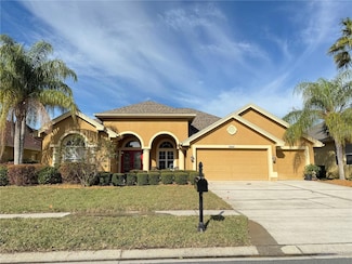 23523 Gracewood Cir, Land O Lakes, FL 34639