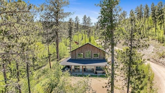 20816 Bellefish Rd, Lead, SD 57754