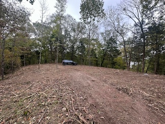 107-111 Dale Hollow Shores, Celina, TN 38551