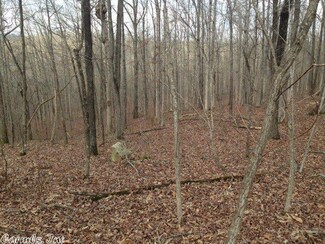 20 Blacks Ferry Rd, Pocahontas, AR 72455