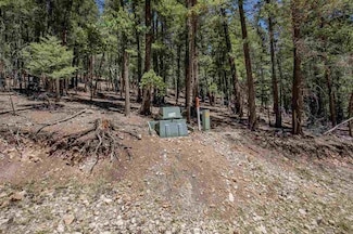 0 Forest View Rd Unit 171893, Cloudcroft, NM 88317