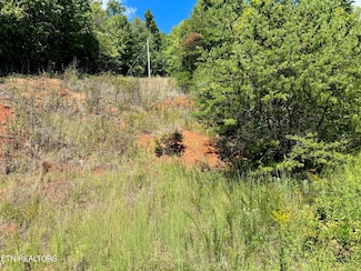 0 Chimney Rock Rd Unit 1274422, Tazewell, TN 37879