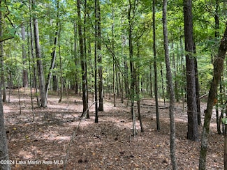 Lot 46 Tanglewood N, Dadeville, AL 36853