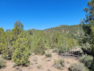 APN: 014-021-08, Yerington, NV 89447