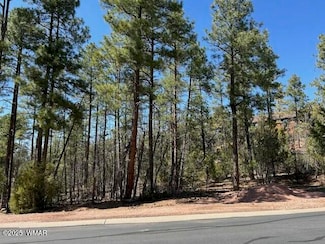 1680 W Snow Creek Loop, Show Low, AZ 85901