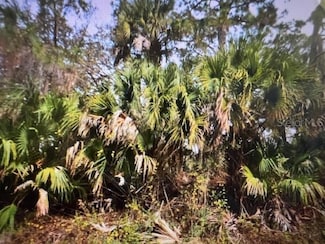 0 Illan Rd Unit MFRC7507988, North Port, FL 34291