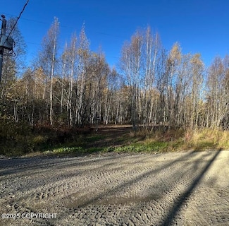 13275 W Maplewood Dr, Big Lake, AK 99652
