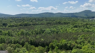 0 Caldwell Dr Unit 10519068, Cleveland, GA 30528