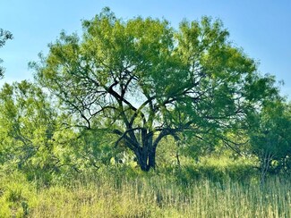 Cameron Ln, Fowlerton, TX 78021