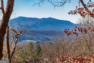 LOT 12 Meadow Brook Trail, Morganton, GA 30560