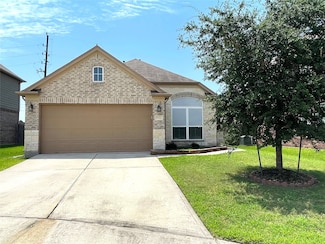 29314 Nectar Bloom Ct, Spring, TX 77386