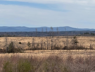 TBD Polk County Road 32, Cove, AR 71937