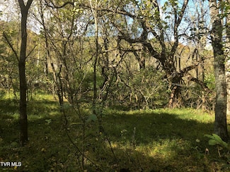 0 Rich Valley (Lot 63) Rd, Bristol, VA 24202