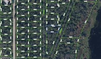 927 Kirby Ave, Lake Placid, FL 33852