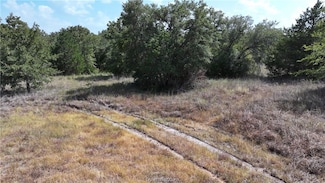 00 Sue Ln, Somerville, TX 77879