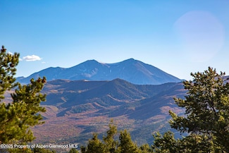 539 Sunrise Ln, Carbondale, CO 81623