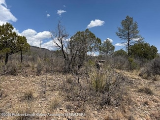 Lot 22 Milton Dr, Timberon, NM 88350