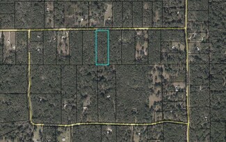 0 NE 219th Ave, Old Town, FL 32680