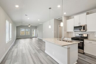 15529 Olive Terrace Trail, Conroe, TX 77302
