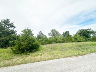 000 Shady Oaks Shore Unit Lot 46, Forsyth, MO 65653