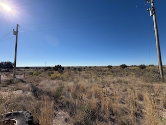 Lot 9 Quail Ln, Fort Sumner, NM 88119