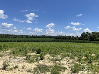 0 Hidden Hills Ln, Summertown, TN 38483