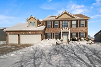 915 Appaloosa Trail Unit 2, Plano, IL 60545