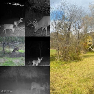 0 Toker Rd Unit 5088694, Hopedale, OH 43976
