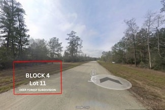 305 Iron Horse Rd, Willis, TX 77358