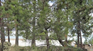 18711 S Aspen Meadows Dr, Cheney, WA 99004