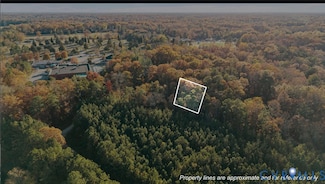 2908 Mountclair Rd, Chester, VA 23831