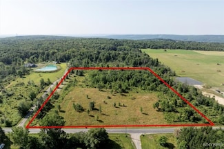 0 Murray Hill Rd Unit B1630089, Colden, NY 14033