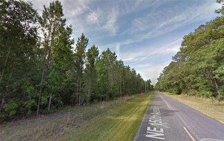 0 NE 150th Avenue Rd Unit MFROM664161, Fort Mc Coy, FL 32134