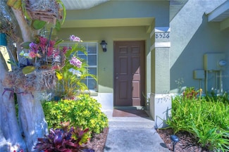 8526 Brushleaf Way, Tampa, FL 33647