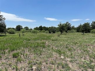 Tract 3D State Highway 95, Smithville, TX 78957