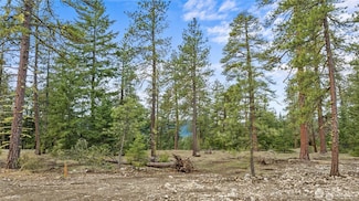 29 Wanawish Loop, Cle Elum, WA 98922
